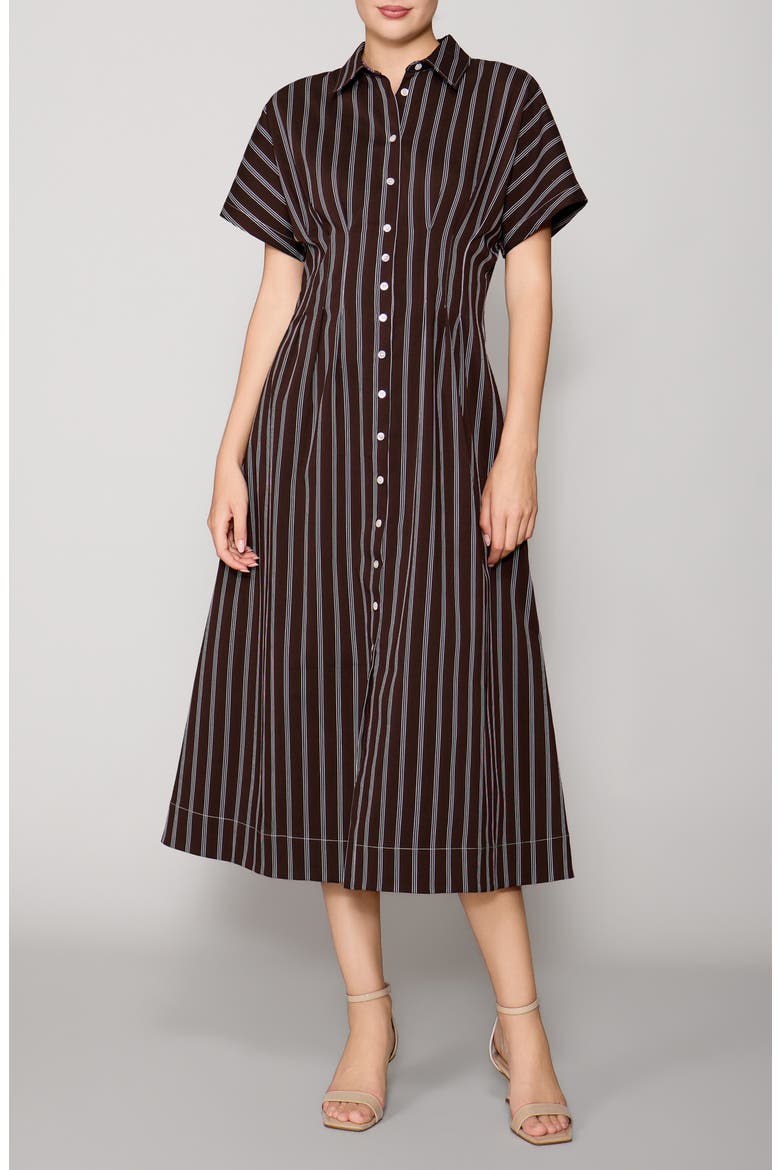 Contrast Stitch Midi Shirtdress, Main, color, BROWN STRIPE