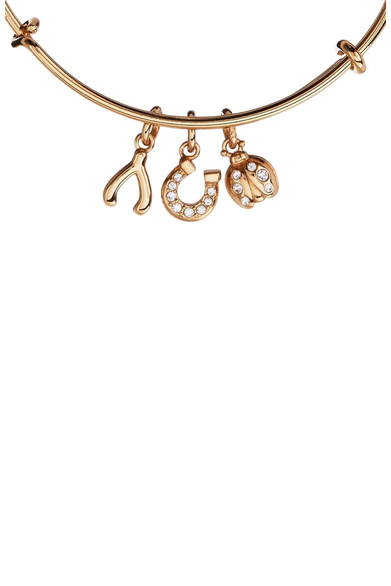 Love and Luck Multi Charm Bangle Bracelet, Alternate, color, Gold