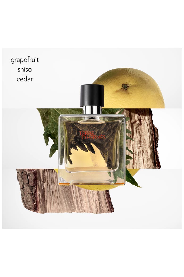 Terre d'Hermès Eau de Toilette Gift Set, Alternate, color, NO COLOR