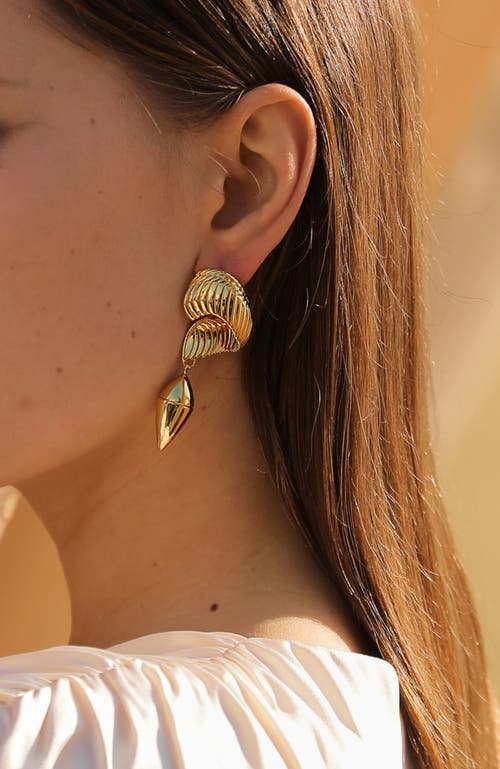 Rc Retro Chic Hawk Wing Earrings In Gold