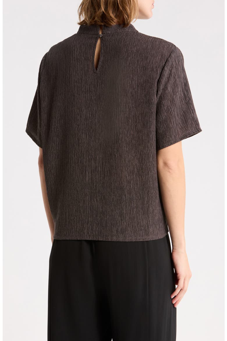Crinkled Short Sleeve Top, Alternate, color, RYE