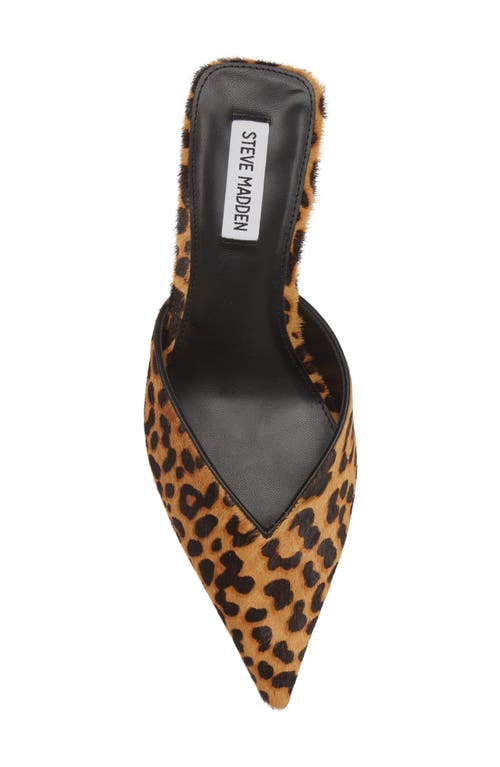 Shop Steve Madden Mod-a Leopard Print Genuine Calf Hair Mule