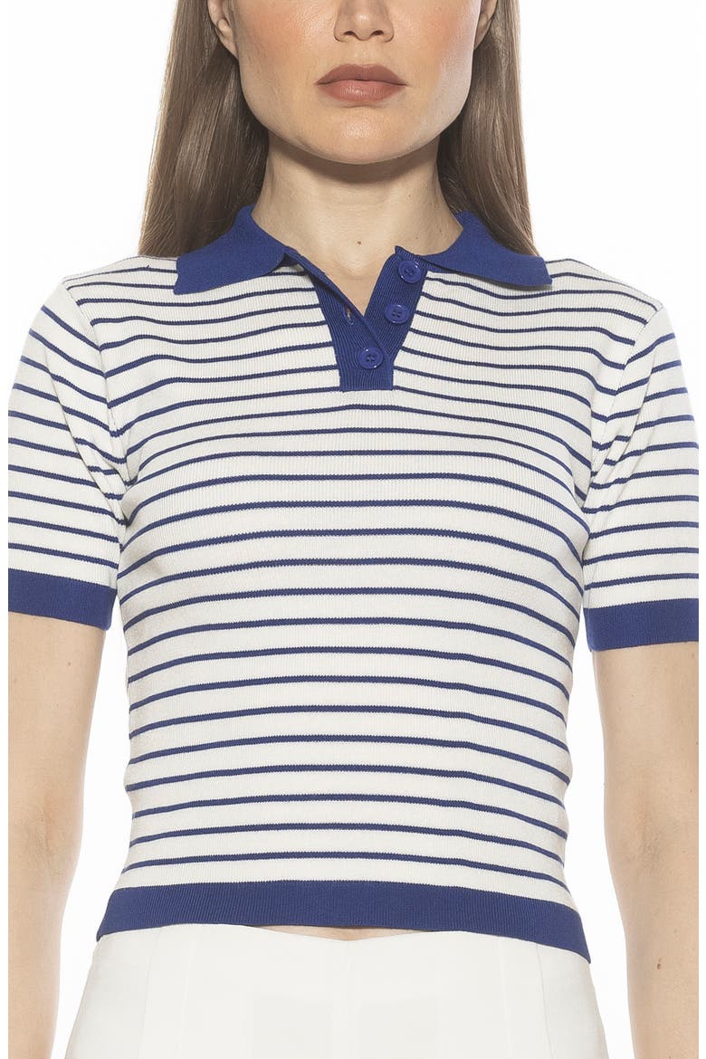 Elani Knit Polo, Main, color, IVORY/ NAVY