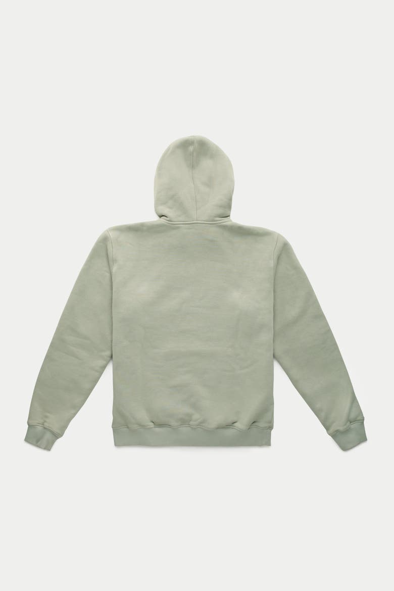 Cotton Fitted Hoodie, Alternate, color, Calliste Green
