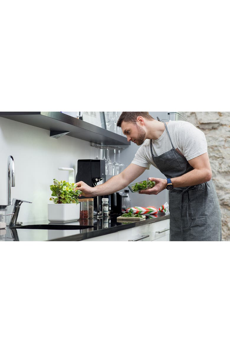 Click & Grow Smart Garden 3 Self Watering Indoor Garden, Alternate, color, White