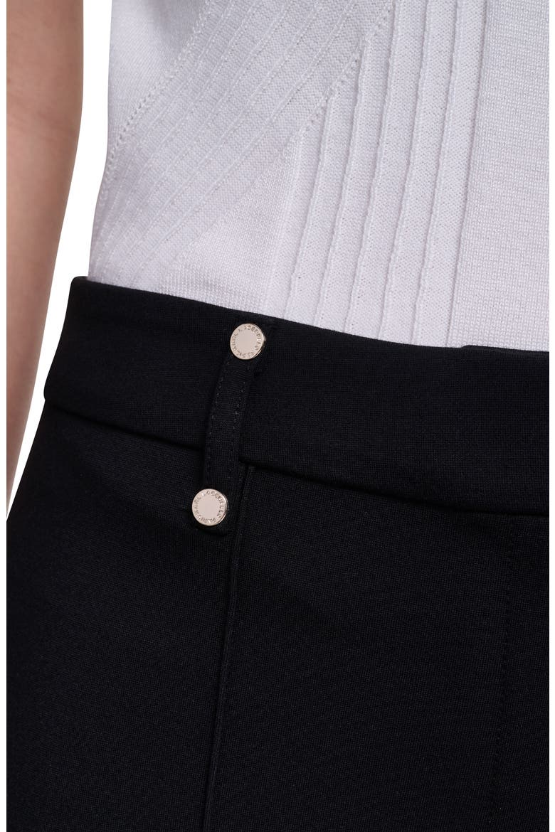 Front Seam Straight Leg Pants, Alternate, color, BLACK
