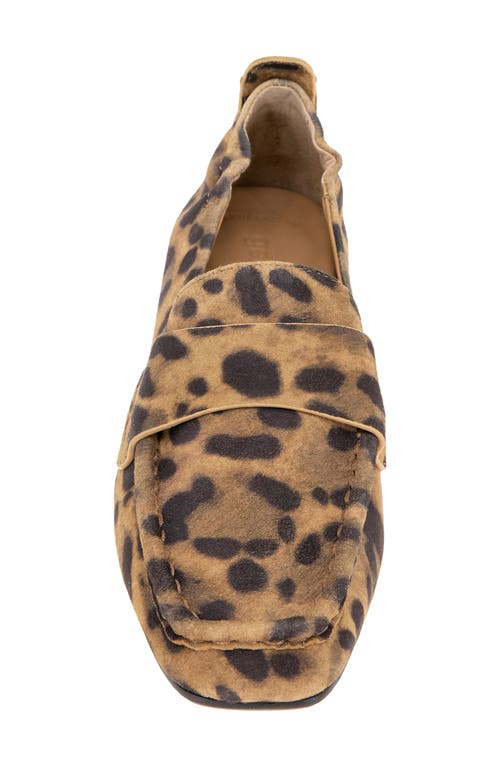 Gentle Souls Sophie Loafer In Brown