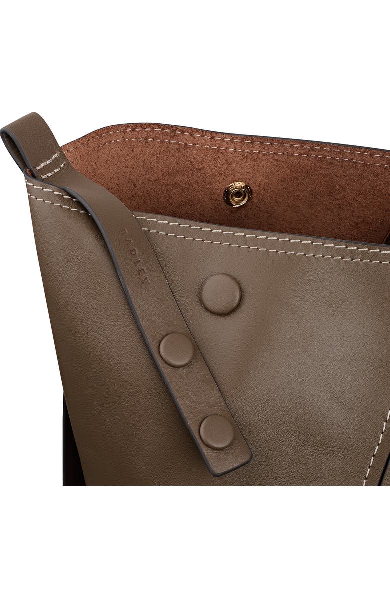 Radley The Delphine Extra Large Open Top Tote Bag, Alternate, color, Coffee