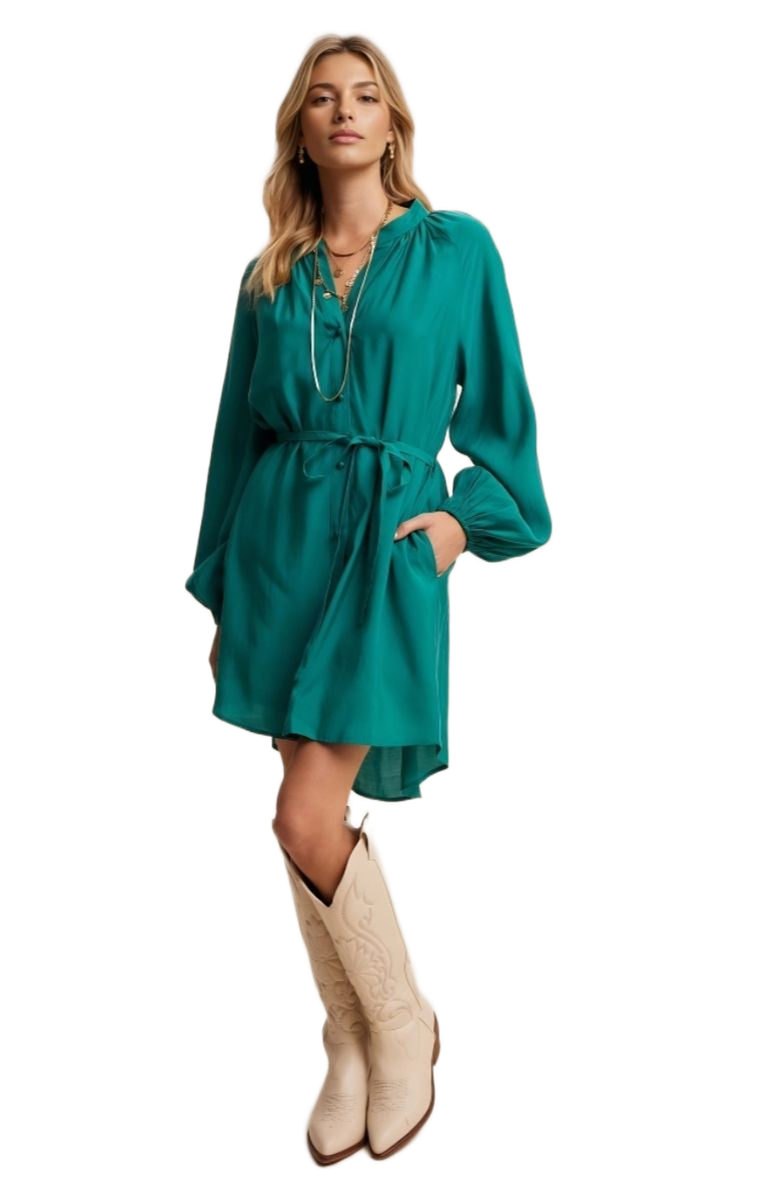 Knit and Lounge Belted Button-Up Bishop Sleeve Mini Dress, Alternate, color, 