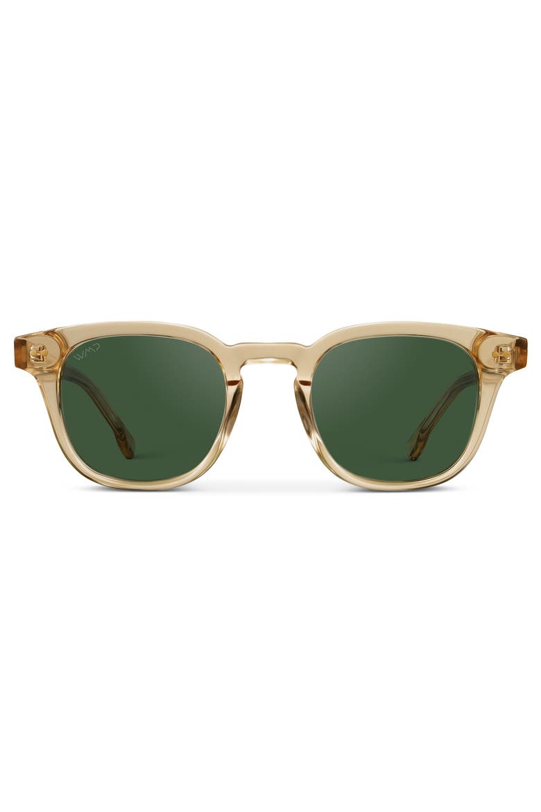 Clark - 46mm Square Polarized Sunglasses, Main, color, Crystal Champagne