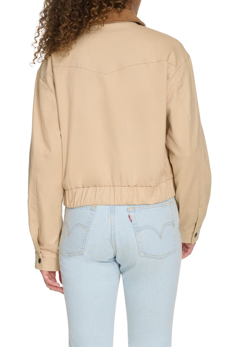 Cotton Bomber Jacket, Alternate, color, TAN