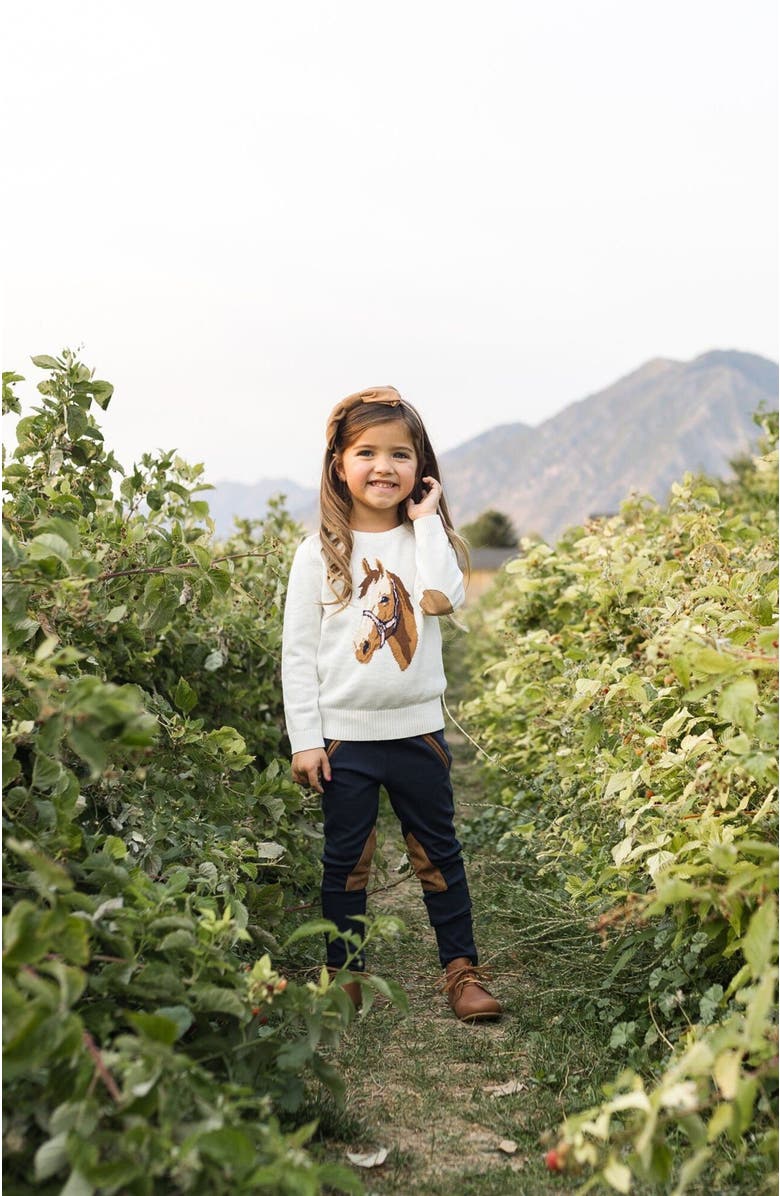 Hope & Henry Baby Girls' Organic Horse Intarsia Sweater, Infant, Alternate, color, 