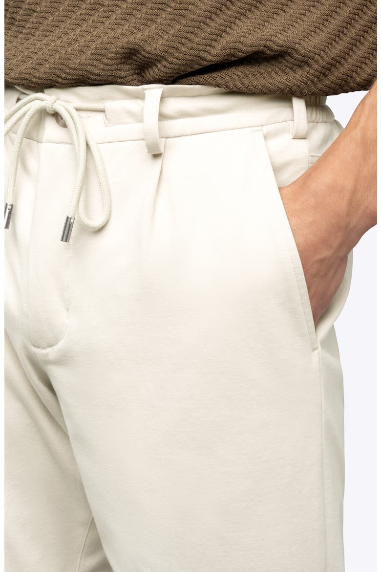 Soho Pleated Stretch Trousers, Alternate, color, OAT