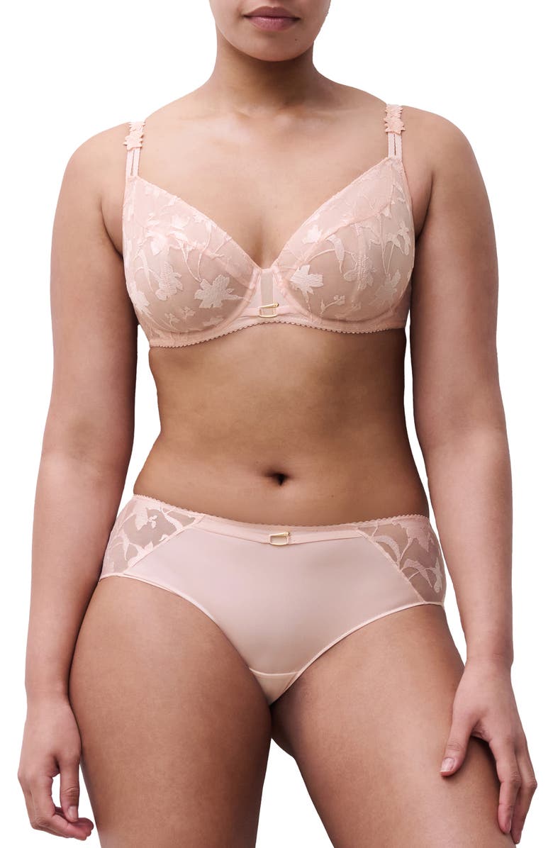 Chantelle Lingerie Idyll Embroidered Tulle
Microfiber Hipster Briefs, Alternate, color, Taffeta Pink