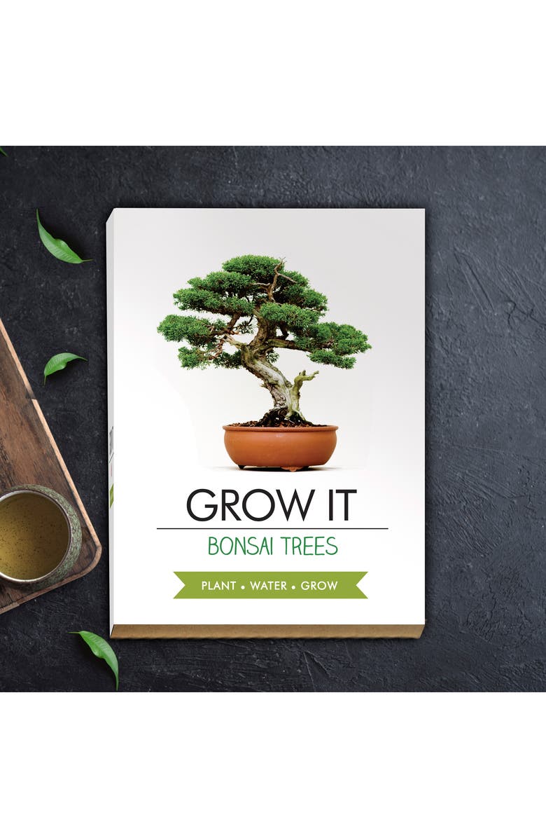 GIFT REPUBLIC Bonsai Grow Kit, Alternate, color, Brown
