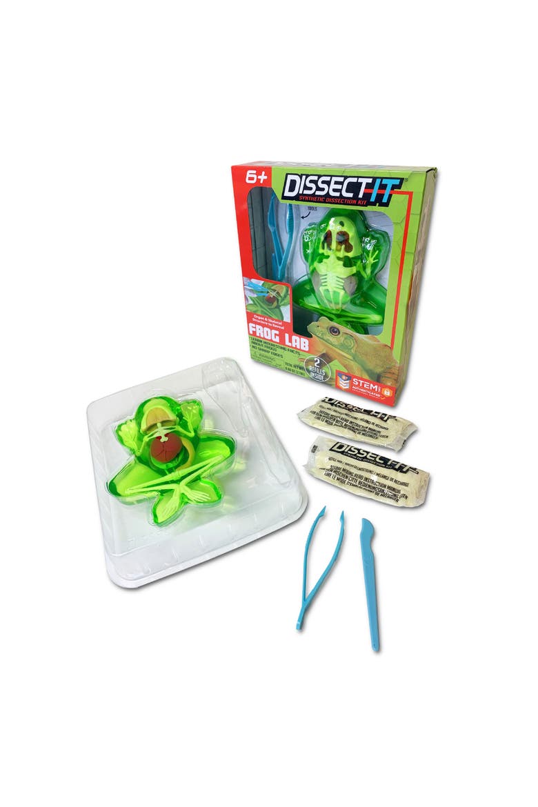 Dissect it Frog Lab, Science Kit, Ages 6+, Alternate, color, Multicolored