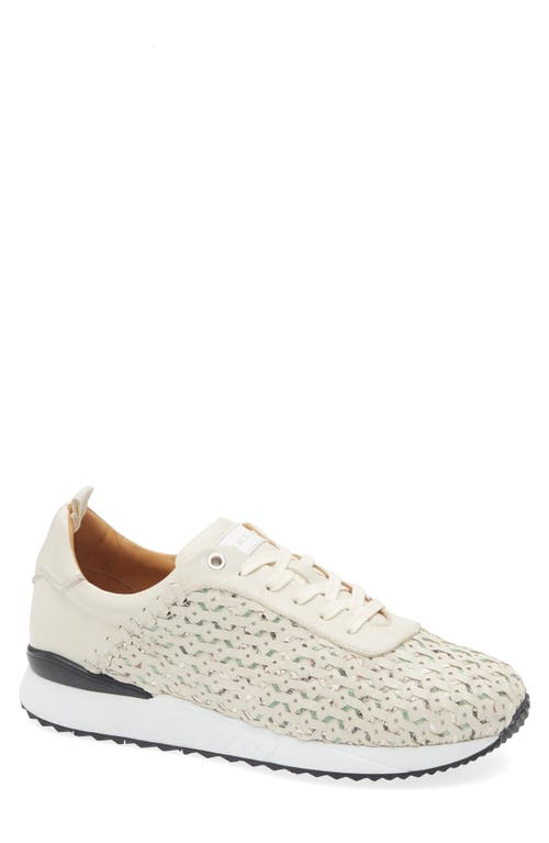 Mezlan Plata Sneaker In Light Green Multi