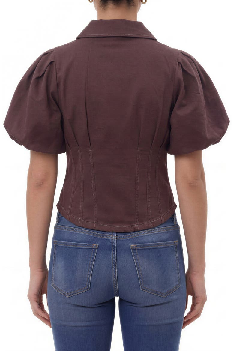 Corset Seam Puff Sleeve Shirt, Alternate, color, BITTER
