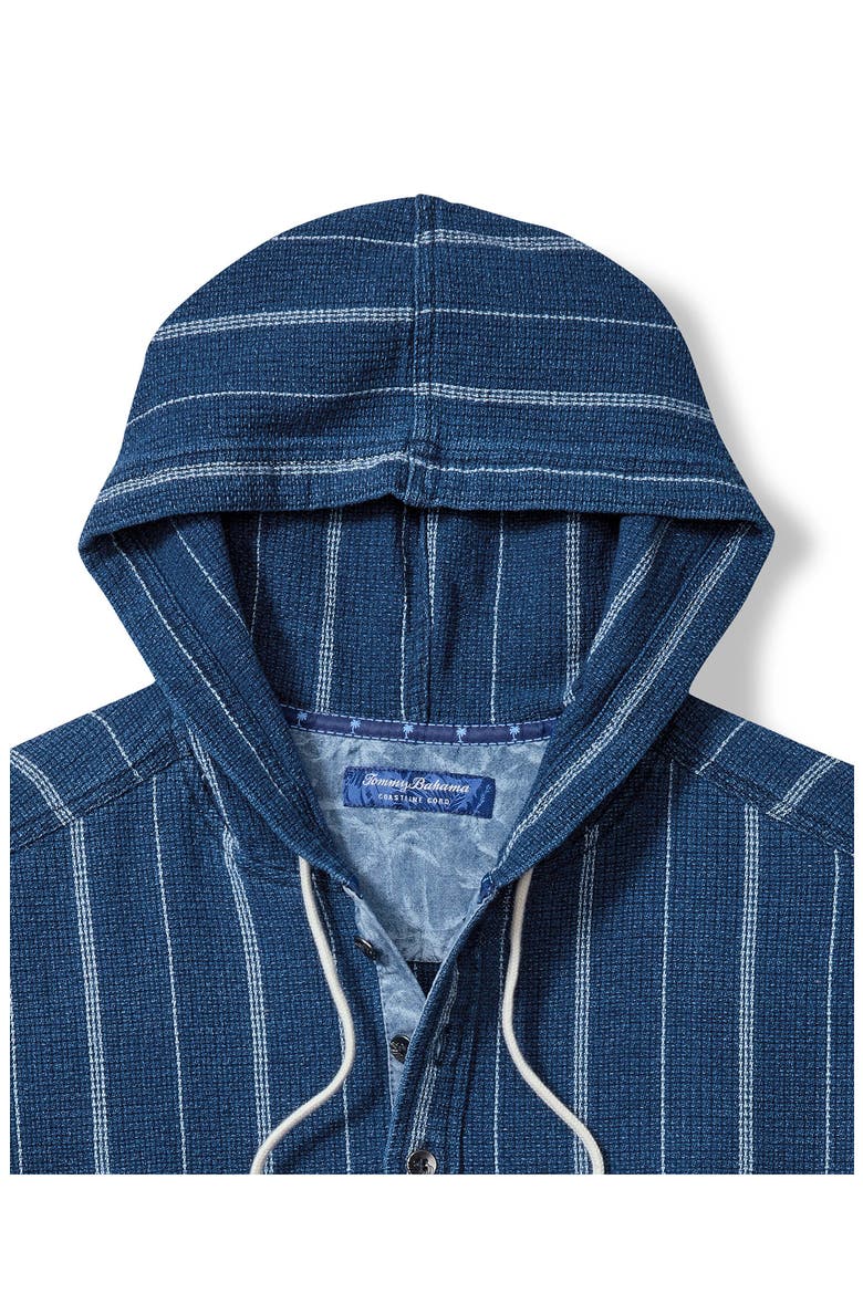Indigo Baja Hooded Stripe Cotton Hoodie, Alternate, color, INDIGO