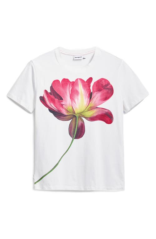 Desigual Fitted Floral Crop T-shirt In Light Beige
