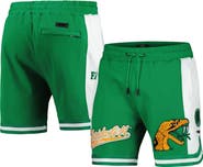 PRO STANDARD Men's Pro Standard Green Florida A&M Rattlers Script Tail DK 2.0 Shorts