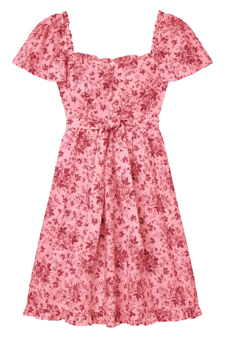 Marianna Floral Print Dress, Alternate, color, ROSE