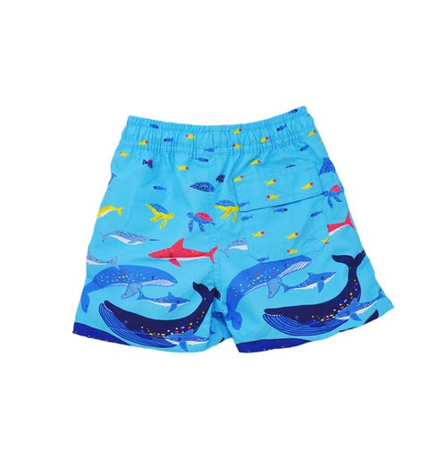 Flap Happy Boys Upf 50+ Wesley Swim Trunks With Mesh Liner