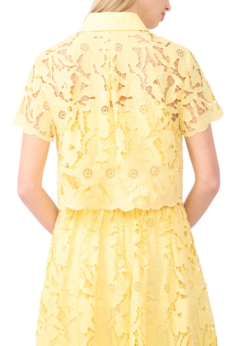 Micah Lace Embroidered Button-Up Top, Alternate, color, CREAMED CORN