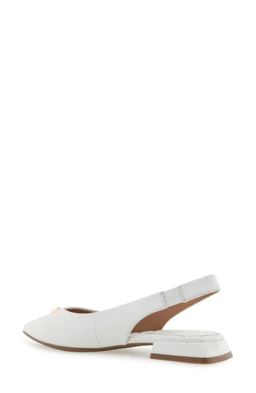 AEROSOLES AEROSOLES NAYANA POINTED TOE SLINGBACK FLAT
