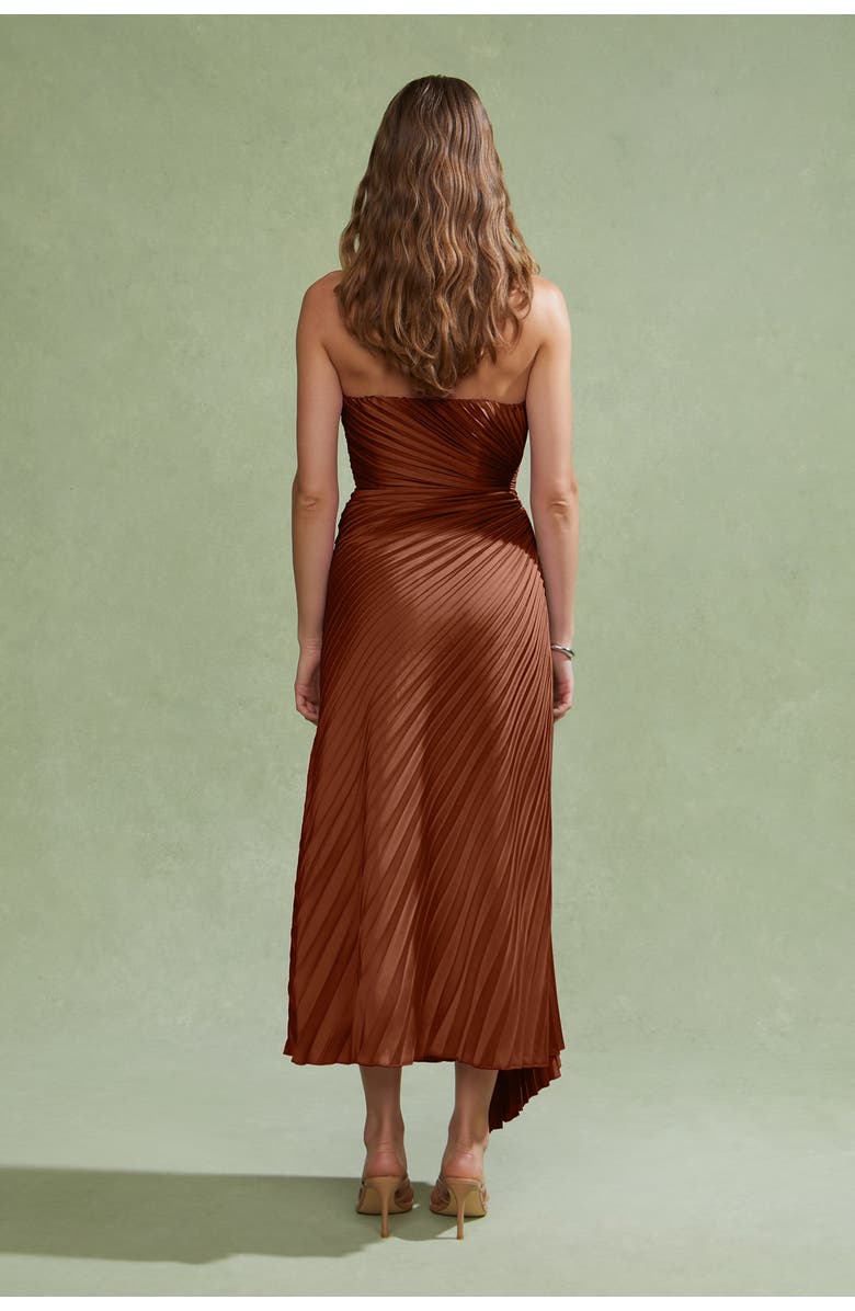 AMUR Everyn Pleated Gown, Alternate, color, Pink Clay