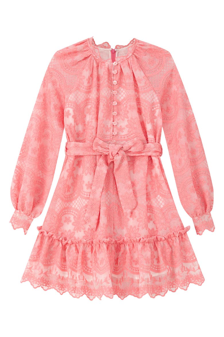 Kaia Lace Embroidered Mini Dress, Main, color, Peach
