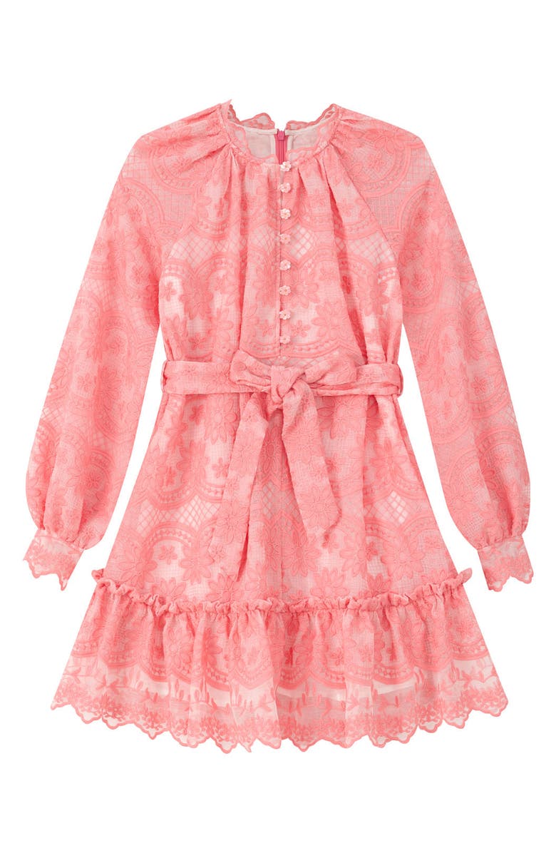 Marlo Kids Kaia Lace Embroidered Mini Dress, Main, color, Peach