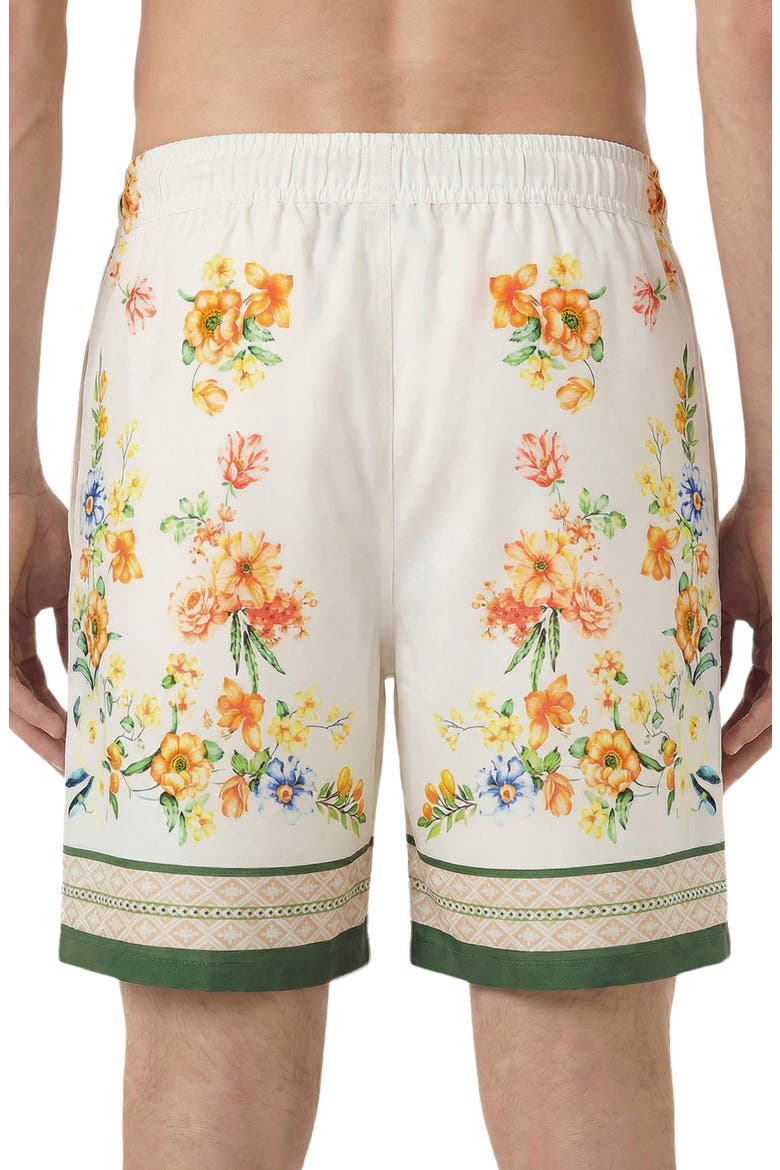 Orlan Shorts, Alternate, color, Multi