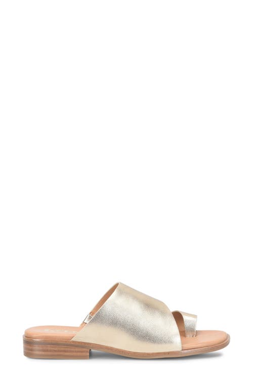 Korks Sareen Toe Loop Sandal In Champagne