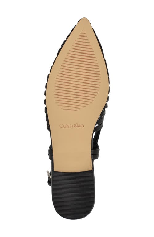 Calvin Klein Jillie Pointed Toe Flat
