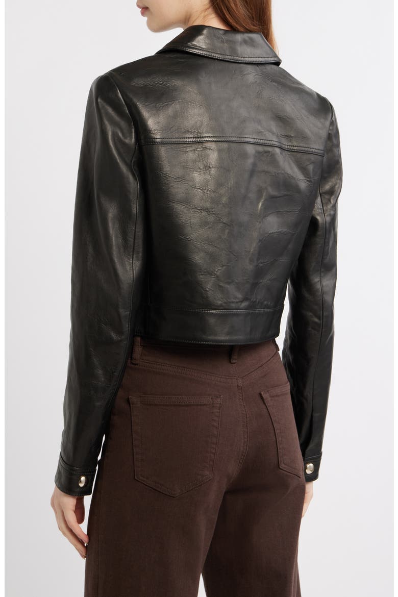 The Small Crop Leather Jacket, Alternate, color, BLACK