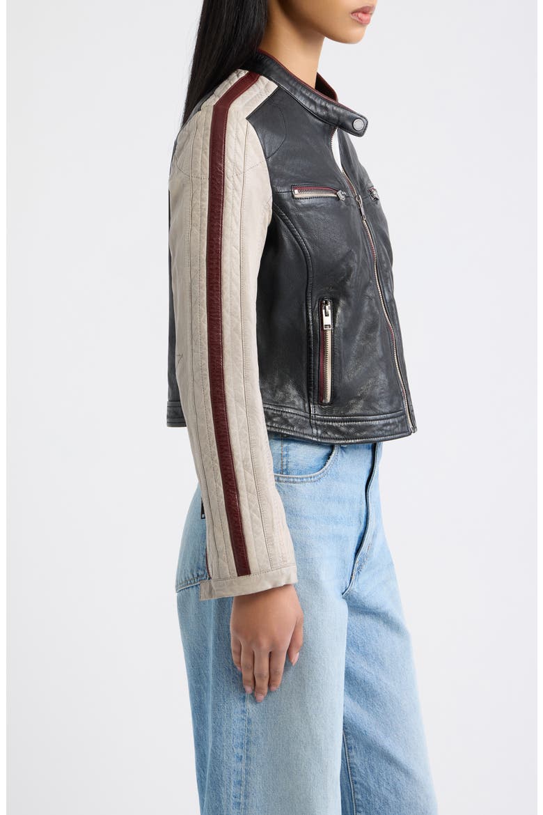 Isadora Leather Jacket, Alternate, color, BLACK