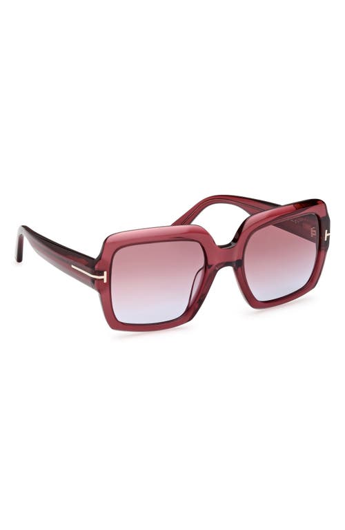 Tom Ford Kaya Beveled Acetate Square Sunglasses In Pink
