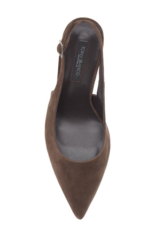 Tony Bianco Asti Slingback Pointed Toe Pump In Brown