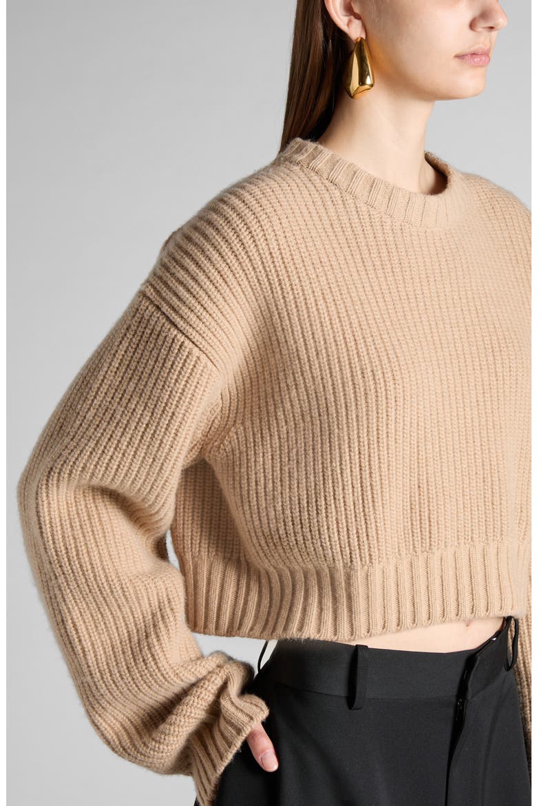 Oversize Wool & Cashmere Rib Crop Sweater, Alternate, color, 9734 DESERT