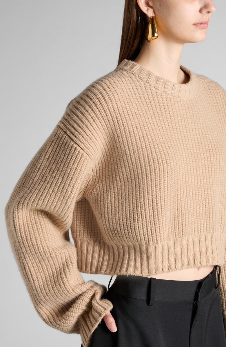 Bottega Veneta Oversize Wool & Cashmere Rib Crop Sweater, Alternate, color, 