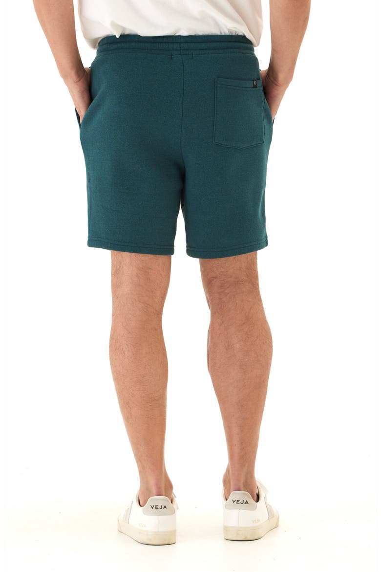 Garrett Drawstring Fleece Shorts, Alternate, color, SERRANO