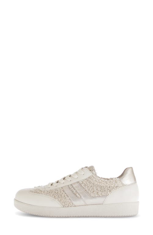 Gabor Teddy Wool Sneaker In Multi