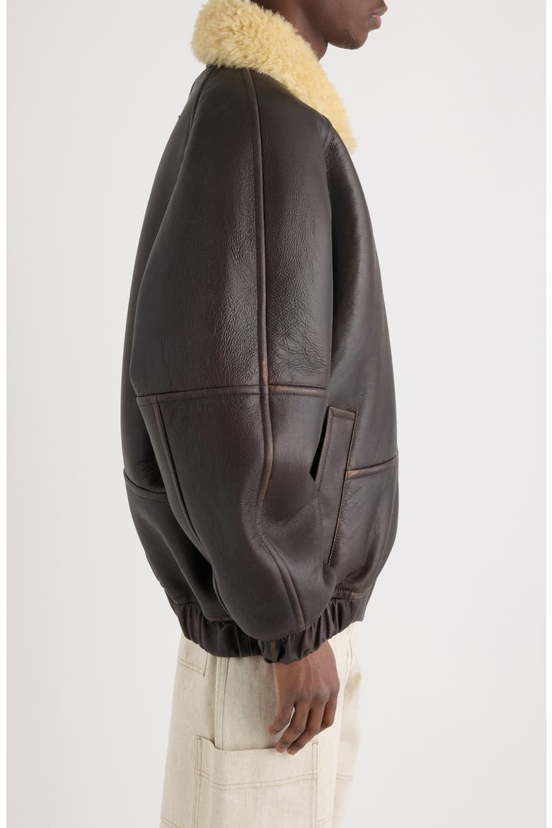 Le Bombardier Lambskin Leather & Genuine Shearling Aviator Jacket, Alternate, color, DARK BROWN