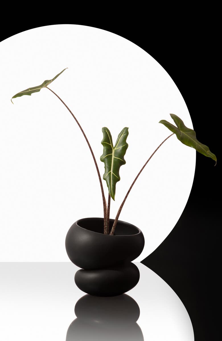 Greenery Unlimited Self Watering Planter, Alternate, color, 