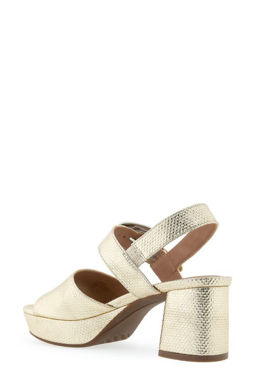 AEROSOLES AEROSOLES CHAMBER PLATFORM SANDAL 