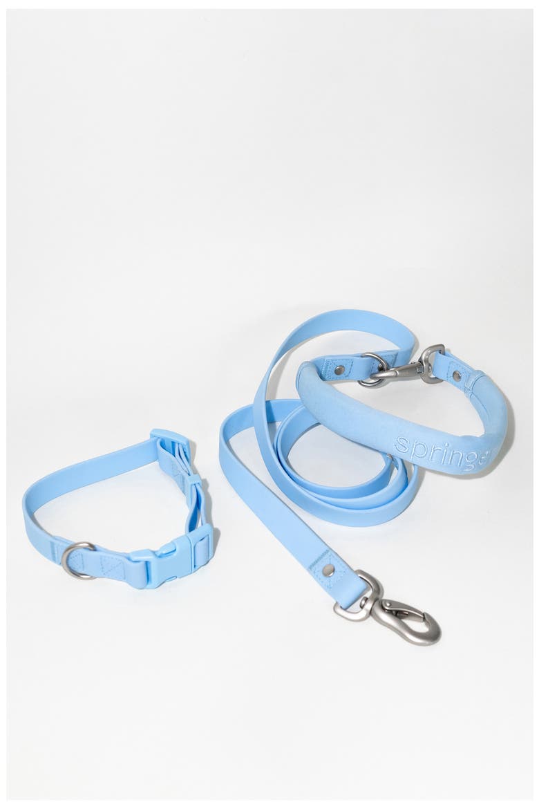 Dog Leash & 15 oz. Water Bottle Set, Alternate, color, SKY BLUE
