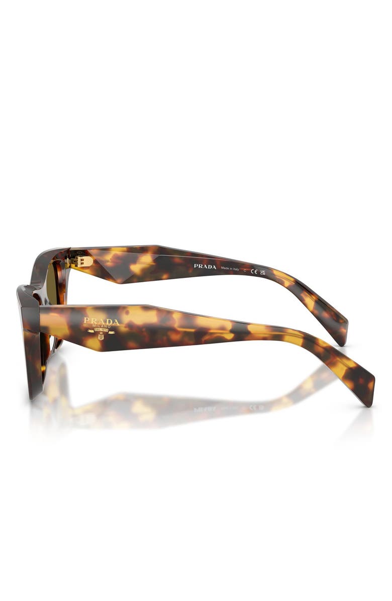 Prada 51mm Butterfly Sunglasses, Alternate, color, Honey Tortoise / Dark Brown