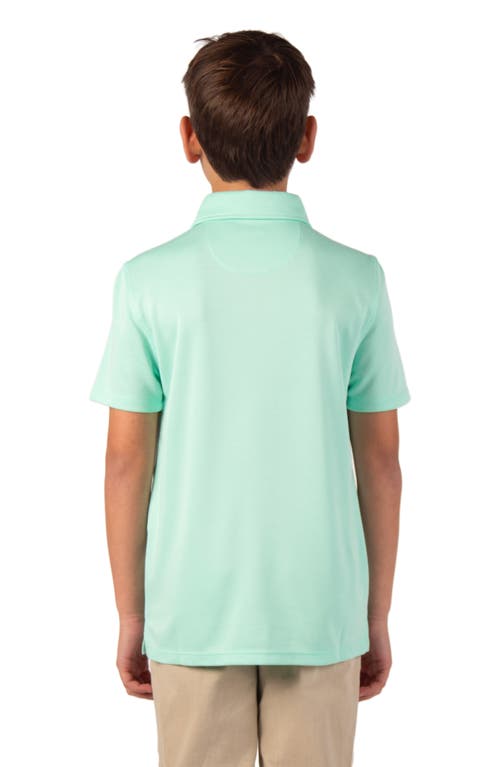 Tailorbyrd Kids' Solid Knit Polo In Green