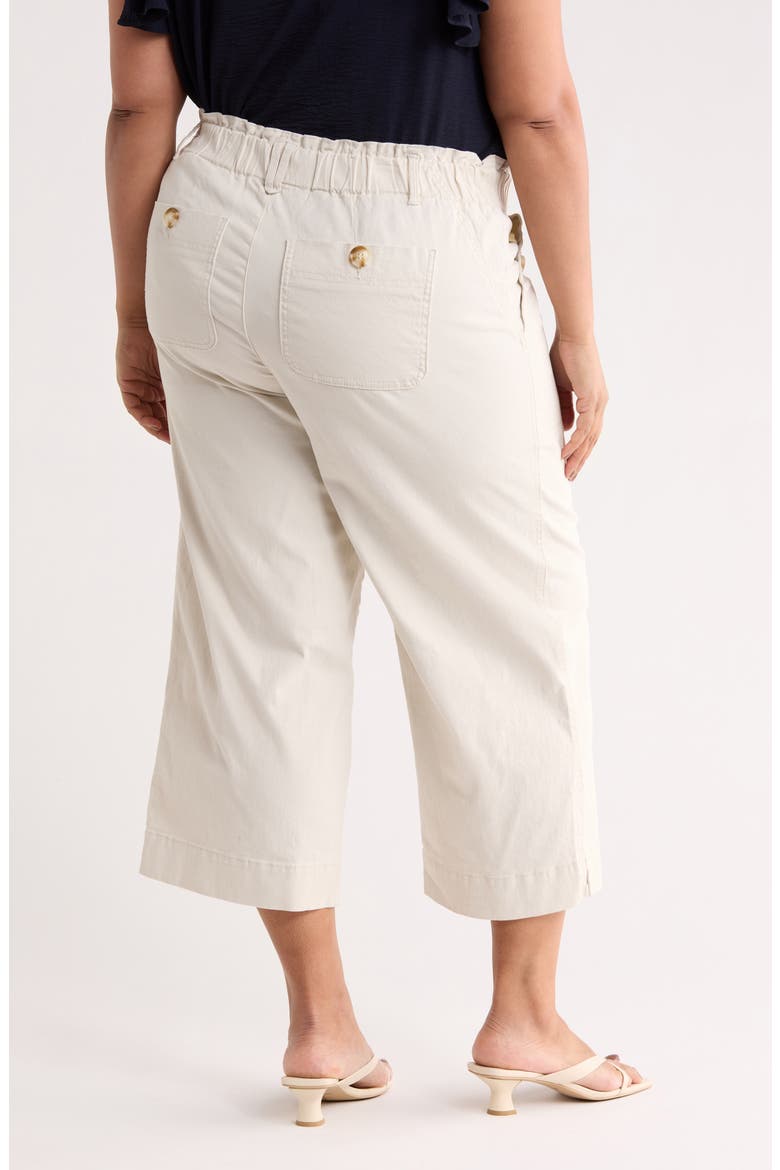 Button Pocket Crop Wide Leg Pants, Alternate, color, PALE STONE